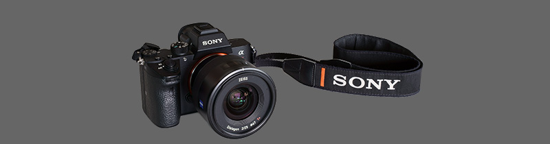 The mini (657gr) but migthy (42mp at 10fps) Sony α7R III.