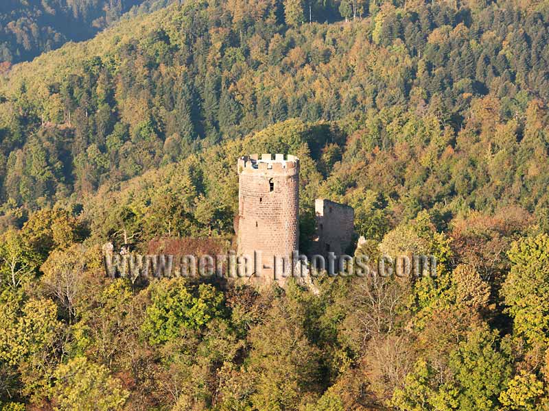 Aerial photo of Haut-Ribeaupierre Castle, Haut-Rhin, Alsace, Grand Est, France. Vue aérienne, Château de Haut-Ribeaupierre.