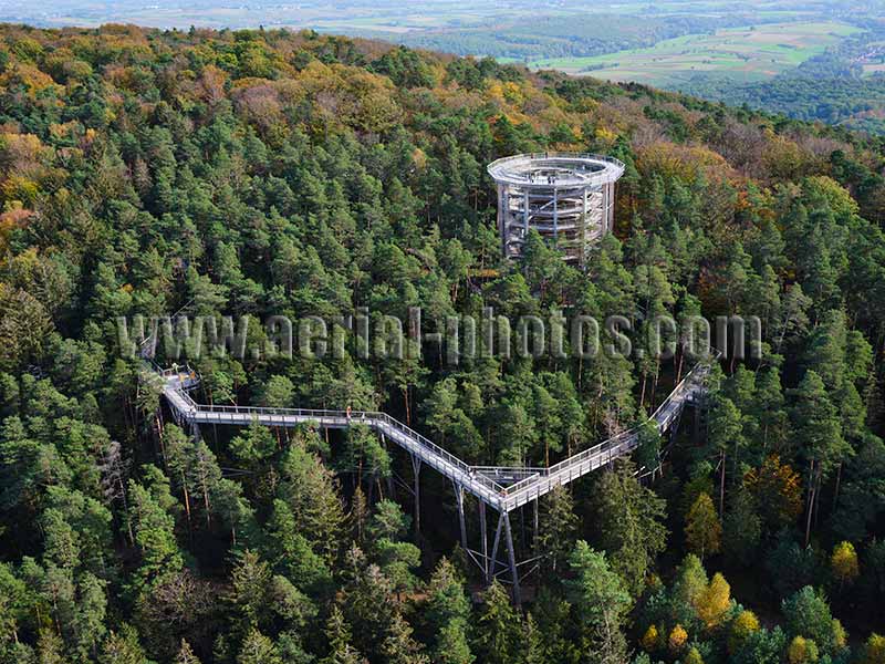 Aerial photo of Chemin des Cimes in Cleebourg, Bas-Rhin, Alsace, Grand Est, France. Vue aérienne.