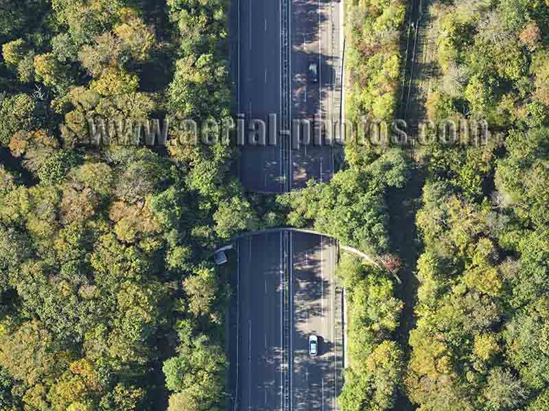 Aerial photo of a wildlife crossing in Haute-Marne, Grand Est, France. Vue aérienne.