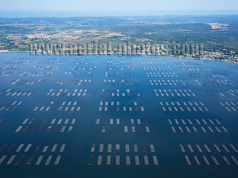 AERIAL VIEW photo of Étang de Thau, Occitanie, France. VUE AERIENNE.