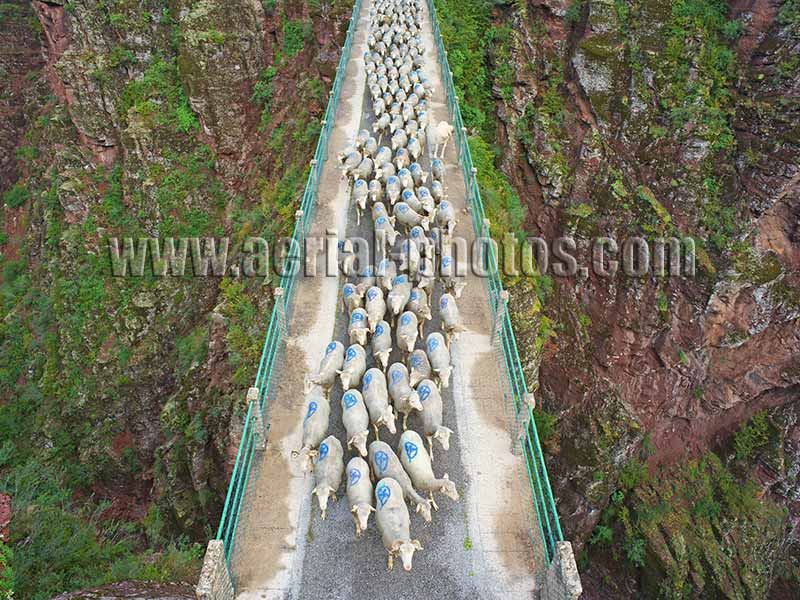 AERIAL VIEW photo of transhumance, Gorges de Daluis, Var river, French Alps, France. VUE AERIENNE pont de la mariée, fleuve Var, Alpes Francaises.
