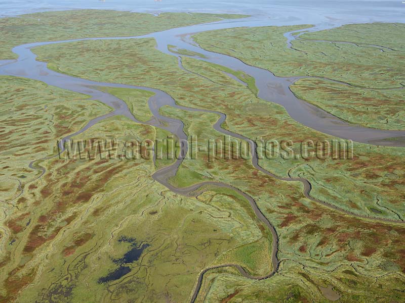 Luchtfoto: Zout Moeras, Schelde, Verdronken Land van Saeftinghe, Zeeland, Nederland. AERIAL VIEW photo of salt marsh, Scheldt River, Verdronken Land van Saeftinghe, Zeeland, Netherlands. LUCHTFOTO zout moeras, Schelde, Nederland.