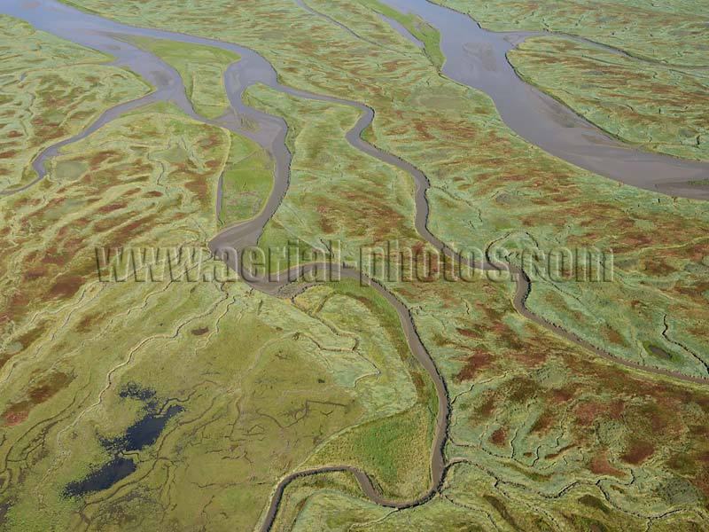 Luchtfoto: Zout Moeras, Schelde, Verdronken Land van Saeftinghe, Zeeland, Nederland. AERIAL VIEW photo of salt marsh, Scheldt River, Verdronken Land van Saeftinghe, Zeeland, Netherlands. LUCHTFOTO, zout moeras, Schelde, Nederland.