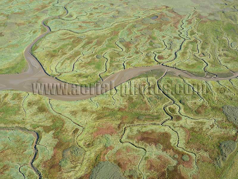 AERIAL VIEW photo of salt marsh, Scheldt River, Verdronken Land van Saeftinghe, Zeeland, Netherlands. LUCHTFOTO zout moeras, Schelde, Nederland.