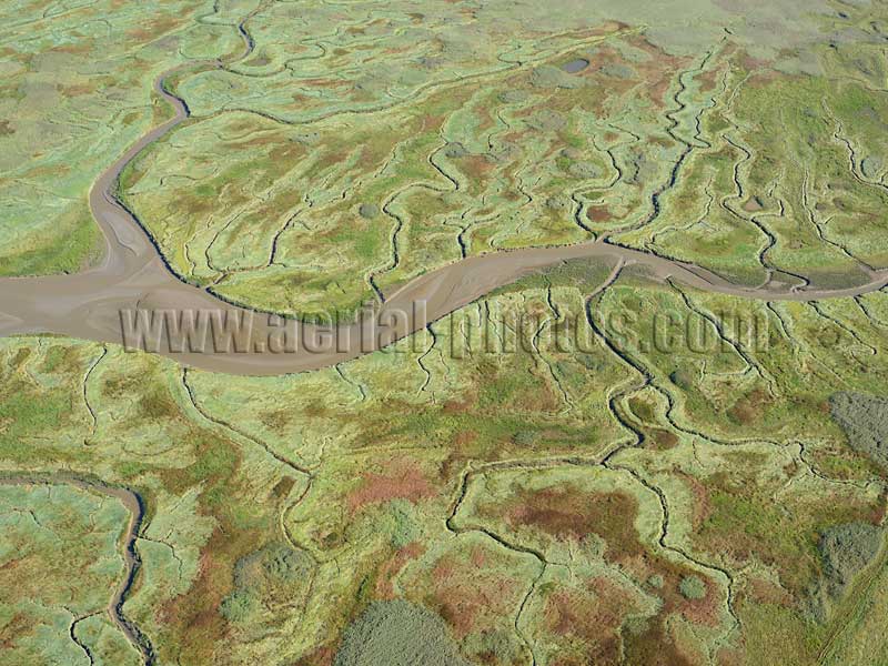Luchtfoto: Zout Moeras, Schelde, Verdronken Land van Saeftinghe, Zeeland, Nederland. AERIAL VIEW photo of salt marsh, Scheldt River, Verdronken Land van Saeftinghe, Zeeland, Netherlands. LUCHTFOTO zout moeras, Schelde, Nederland.