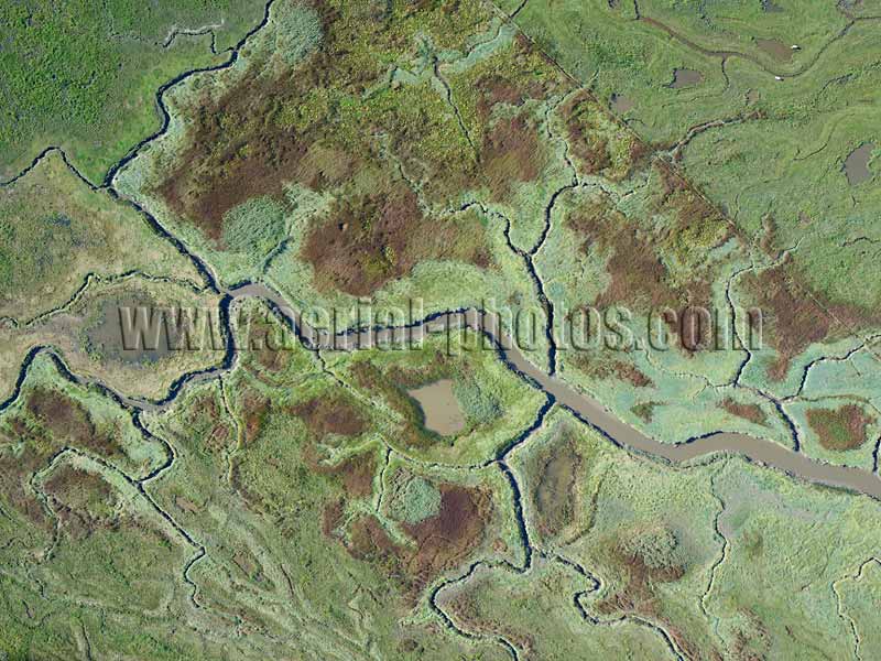 Luchtfoto: Zout Moeras, Schelde, Verdronken Land van Saeftinghe, Zeeland, Nederland. AERIAL VIEW photo of salt marsh, Scheldt River, Verdronken Land van Saeftinghe, Zeeland, Netherlands. LUCHTFOTO zout moeras, Schelde, Nederland.