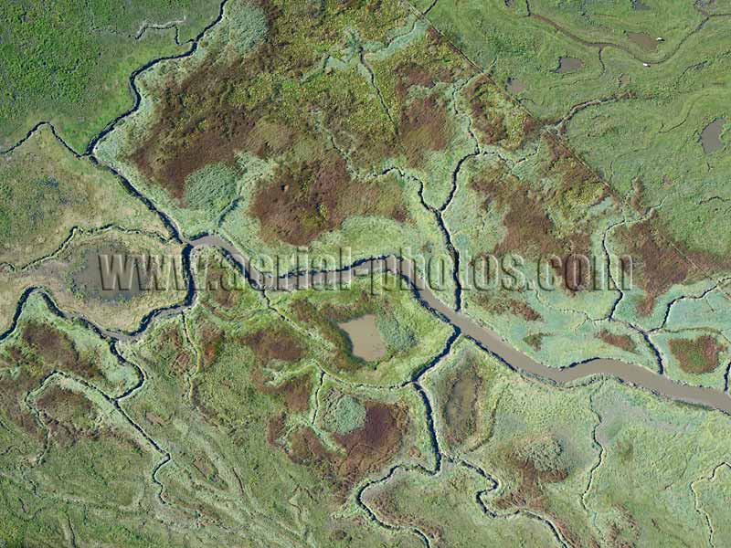 AERIAL VIEW photo of salt marsh, Scheldt River, Verdronken Land van Saeftinghe, Zeeland, Netherlands. LUCHTFOTO zout moeras, Schelde, Nederland.