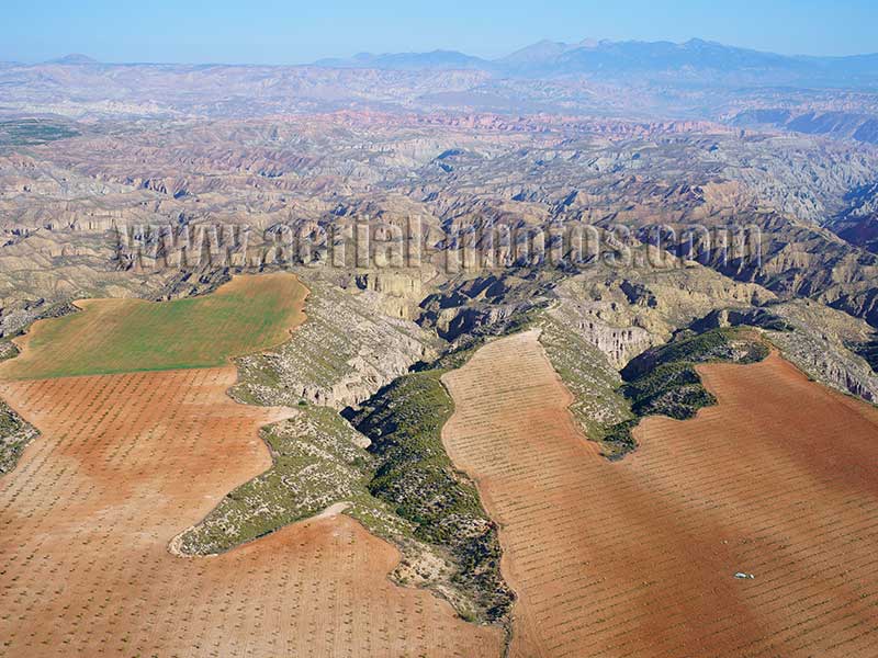 Vista aerea: Desierto de Gorafe, Andalucia, España. AERIAL VIEW photo of badlands in Gorafe, Andalusia, Spain. VISTA AEREA Desierto de Gorafe, Andalucia, España.