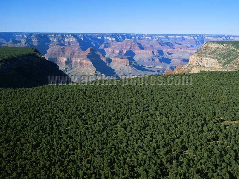 Aerial view of the Grand Canyon National Park, Colorado Plateau, Arizona, USA.