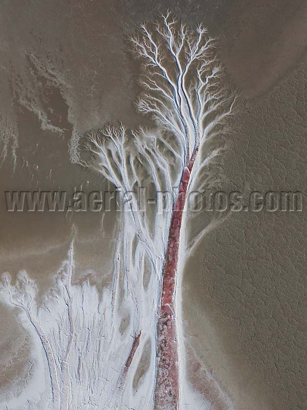 Aerial view of a dentritic drainage pattern, Searles Dry Lake, Trona, San Bernardino County, California, USA.